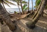 Nicaragua - Little Corn Island - Beach and Bungalow - Palmenwald