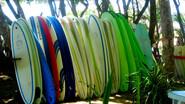 Cabarete Surfboards 1