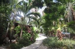Tropical Inn Bonaire