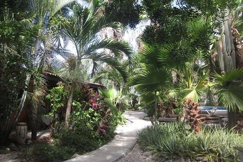 Bonaire - Tropical Inn Bonaire