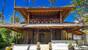 Sambirenteng - Bali Villa Dive Resort, Kura Kura