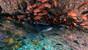 Panama - Santa Catalina, Tauchen Coiba Nationalpark (2)