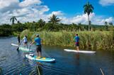 Cabarete Flusstour