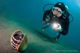 Lembeh Strait - Eco Divers Lembeh - Octopus und Taucher