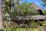 Kenia - Temple Point Resort - Boutique Gartenzimmer