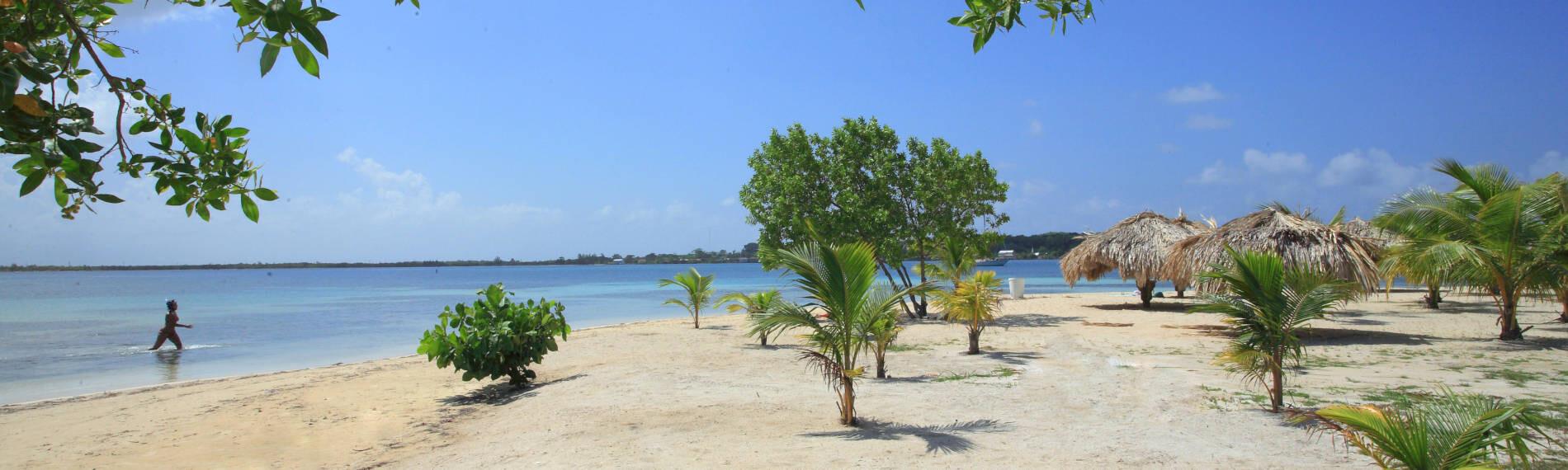 Utila