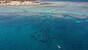Marsa Alam - Marsa Shagra - Delphine