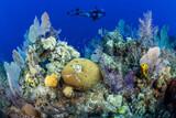 Little Cayman - Little Cayman Beach Resort, Tauchen 2 by Martin Strmiska