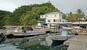 Palau - Sam's Tours Dive Center