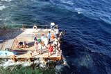 El Quseir - diving El Flamenco, Meer