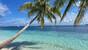 Ari-Atoll - Vilamendhoo, Palmen vor den Villas