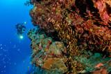 Soma Bay - Extra Divers Sharm el Naga - Hausriff