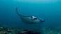Philippinen - Ticao Island Resort - Manta