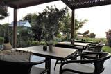 Rhodos Theologos - Nikos Ikies, Terrasse
