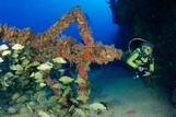 Key Largo - Wrack DUANE - Fischschwarm mit Taucher