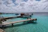 Bonaire - Captain Don's Habitat, Docks