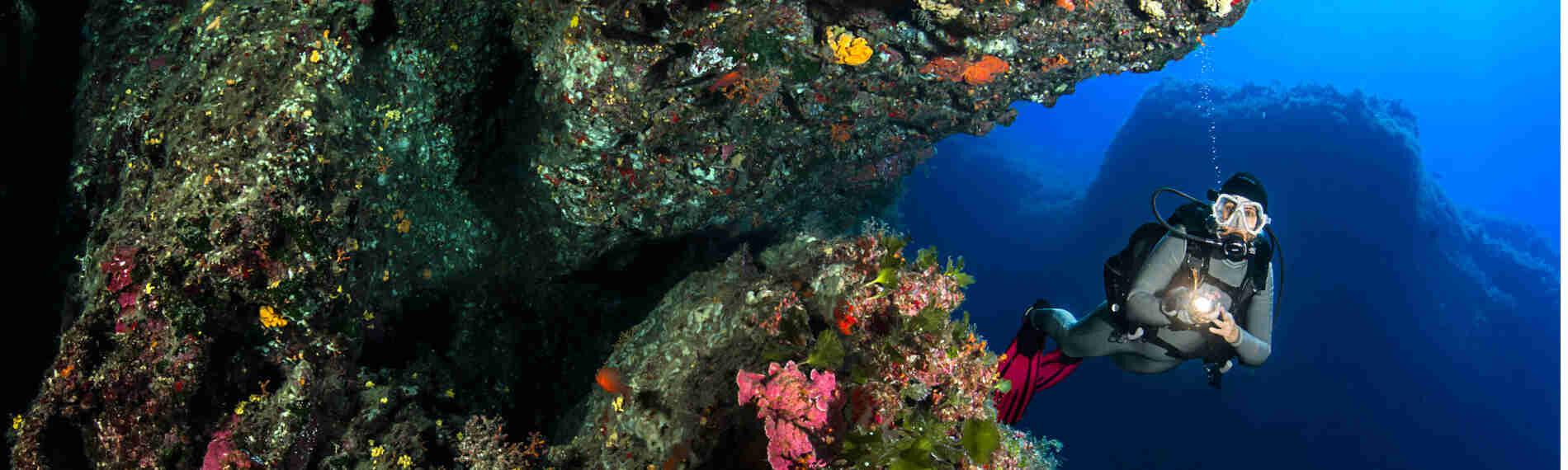 Malta - Dive Vision Malta - Lantern Point Comino