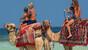 Djerba - Seabel Rym Beach, Kamele am Strand