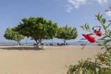 Flores Puri Sari Beach Hotel, Strand