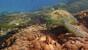 Indonesien - Komodo - Wet Frog Divers - Schildkroeten
