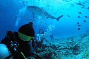 DivePoint Fuvahmulah