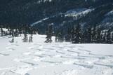 Skisafari, Berner Oberland