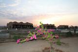 Hamata - Kite-Village-Hotel, Anlage Sonnenuntergang