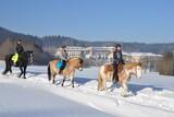 Ampflwang - Aldiana, Ausritt Winterlandschaft