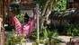 Jericoacoara - Vila Kalango, Bungalow