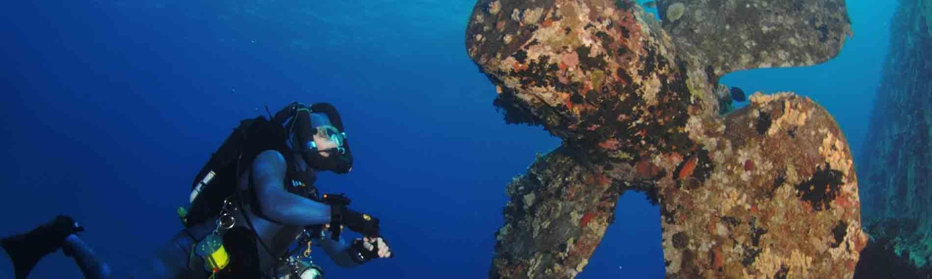 © Orca Dive Club