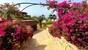 Marokko Wellenreiten Taghazout lowres