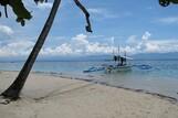 Cebu - Dolphin House, Strand