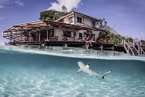 West Papua - Misool Eco Resort