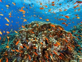 Marsa Alam